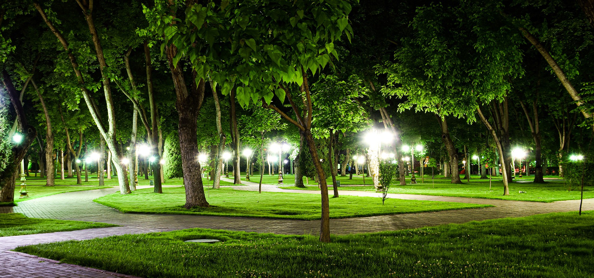 background-Sorena quad Parki